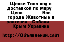 Щенки Тоса-ину с доставкой по миру › Цена ­ 68 000 - Все города Животные и растения » Собаки   . Крым,Украинка